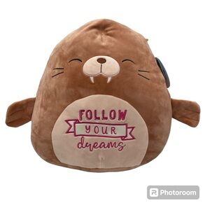 Bindy  Walrus Squishmallows Plush Toy Follow Your Dreams 12 Inch Kellytoy Flaws